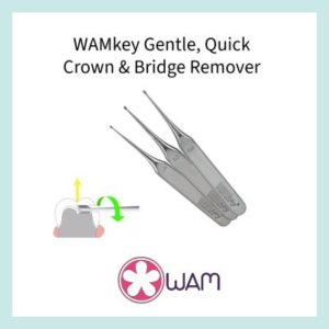 WAMkey gentle crown and bridge remover from DPS